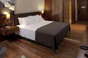 Efficiency, Junior Suite, King Bed