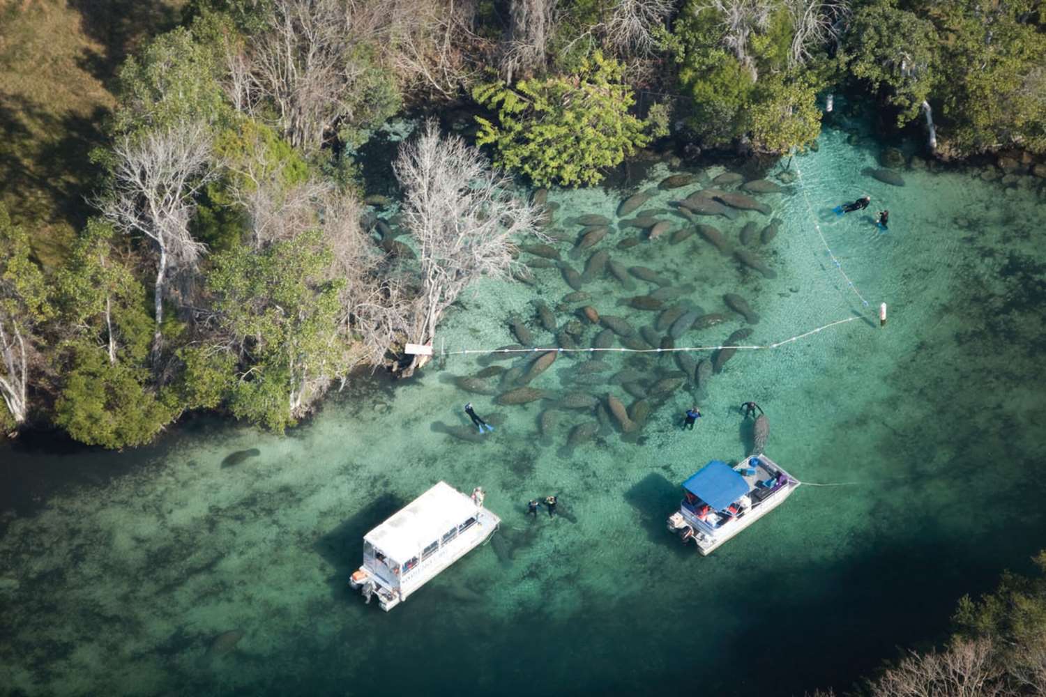Plantation Resort on Crystal River 10/35