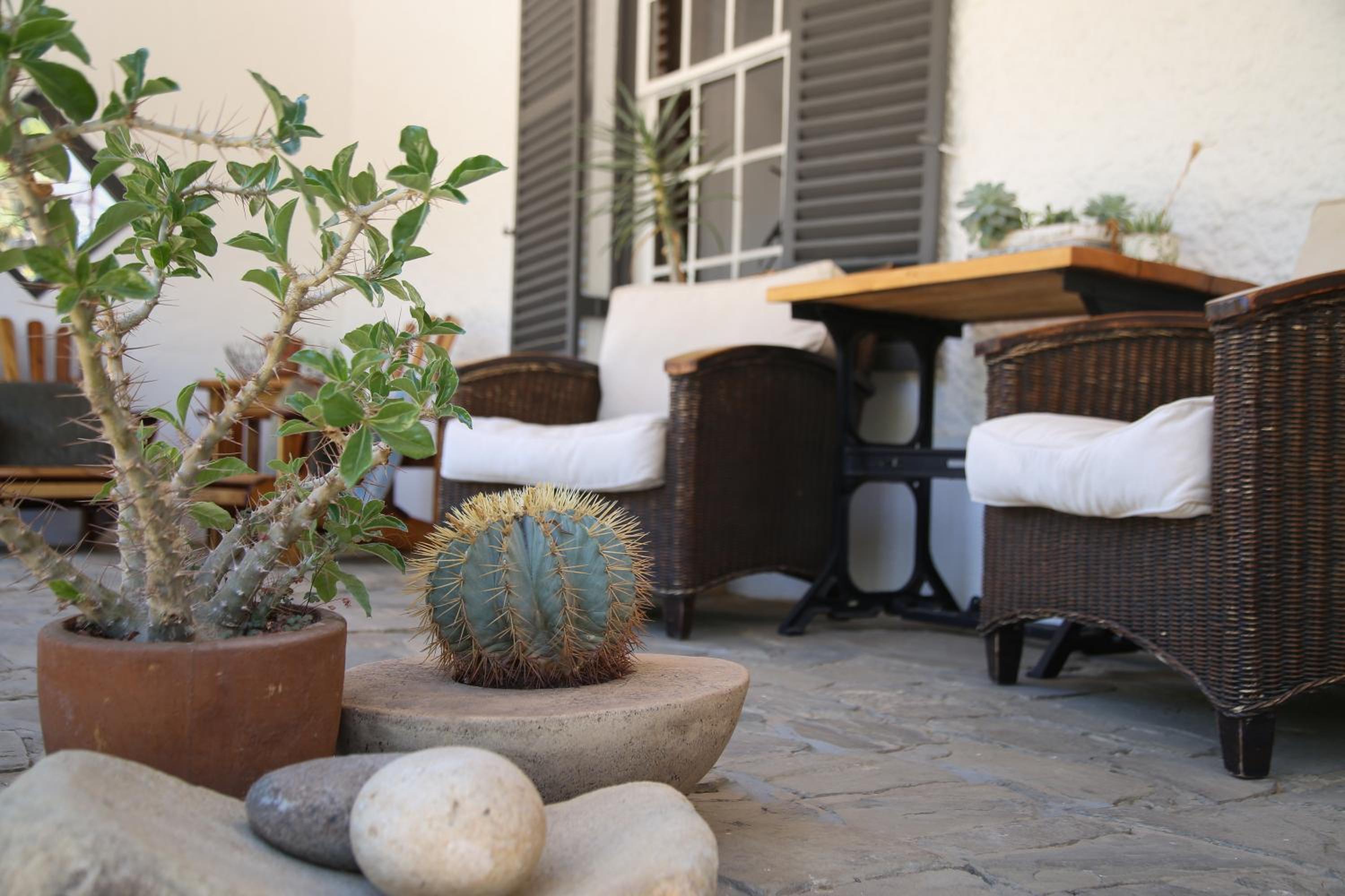 Dennehof Karoo Guesthouse 16/30