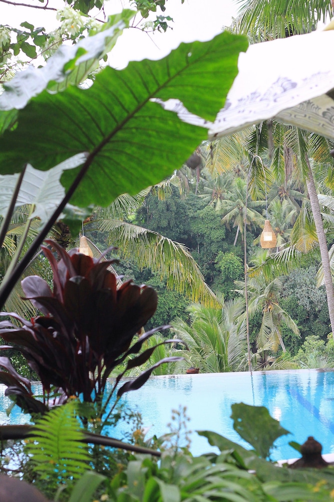 Bucu View Resort 43/50
