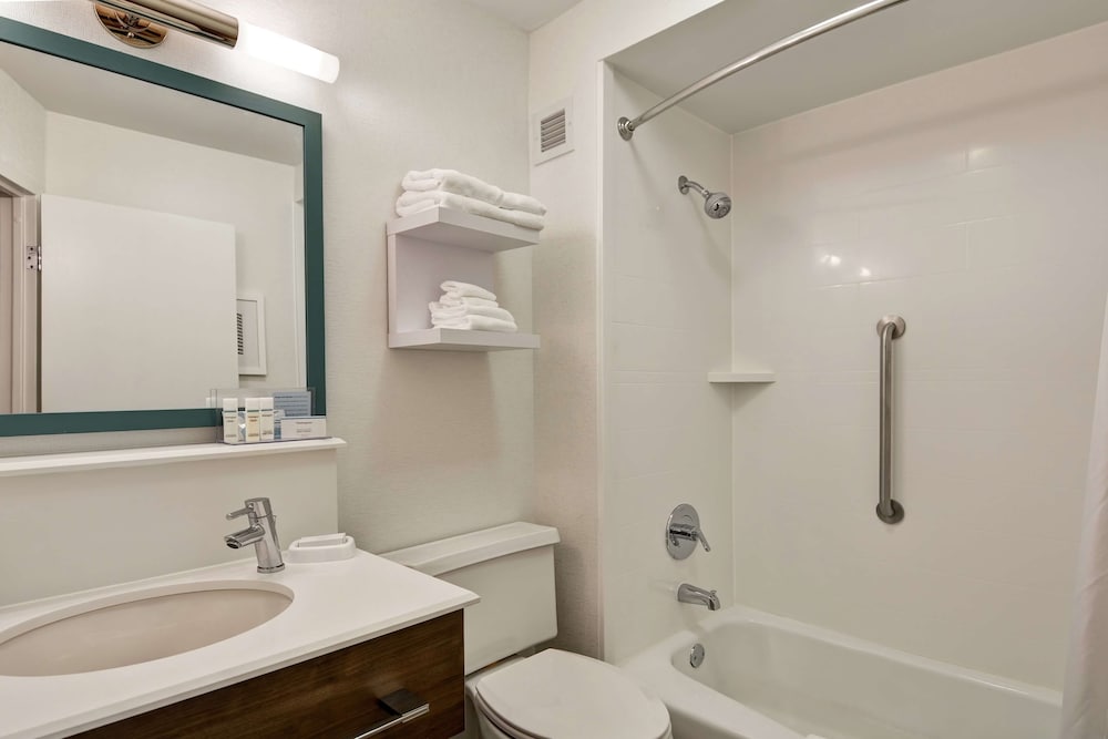 Hampton Inn Columbia-I-26 Airport 18/51