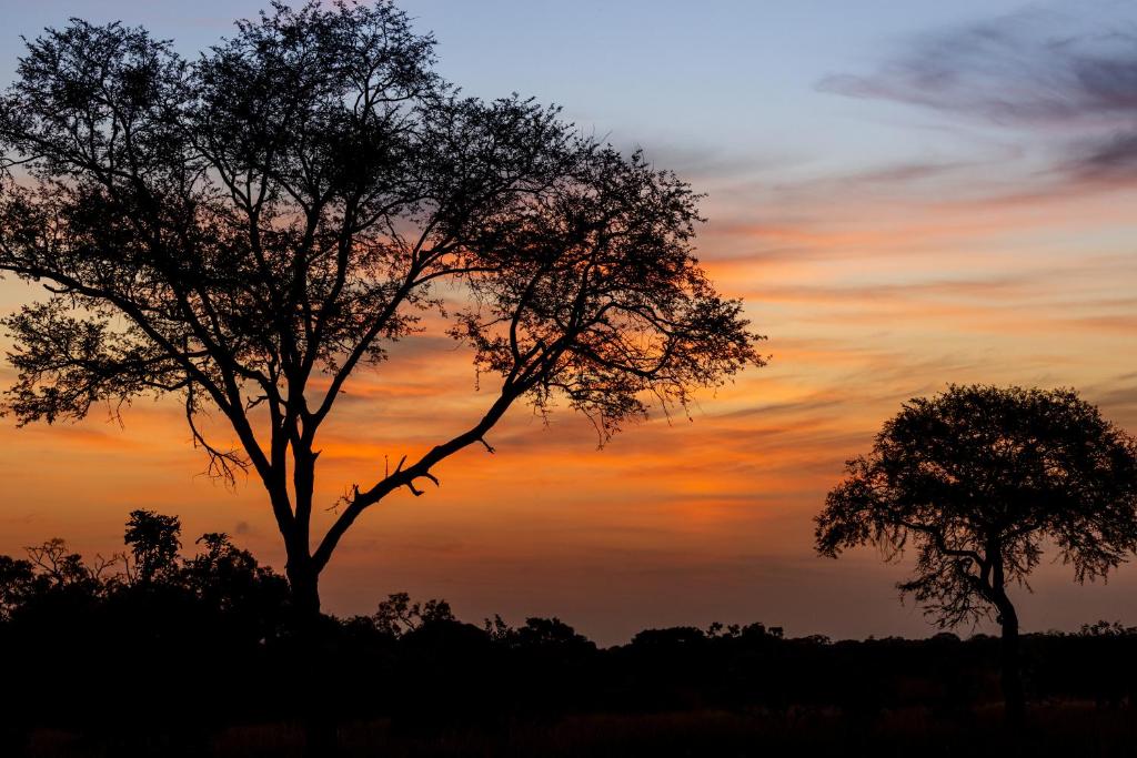 Anantara Tented Camp Kafue River 60/64