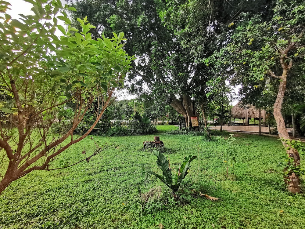 Hotel Doralba Inn Chichen 54/69