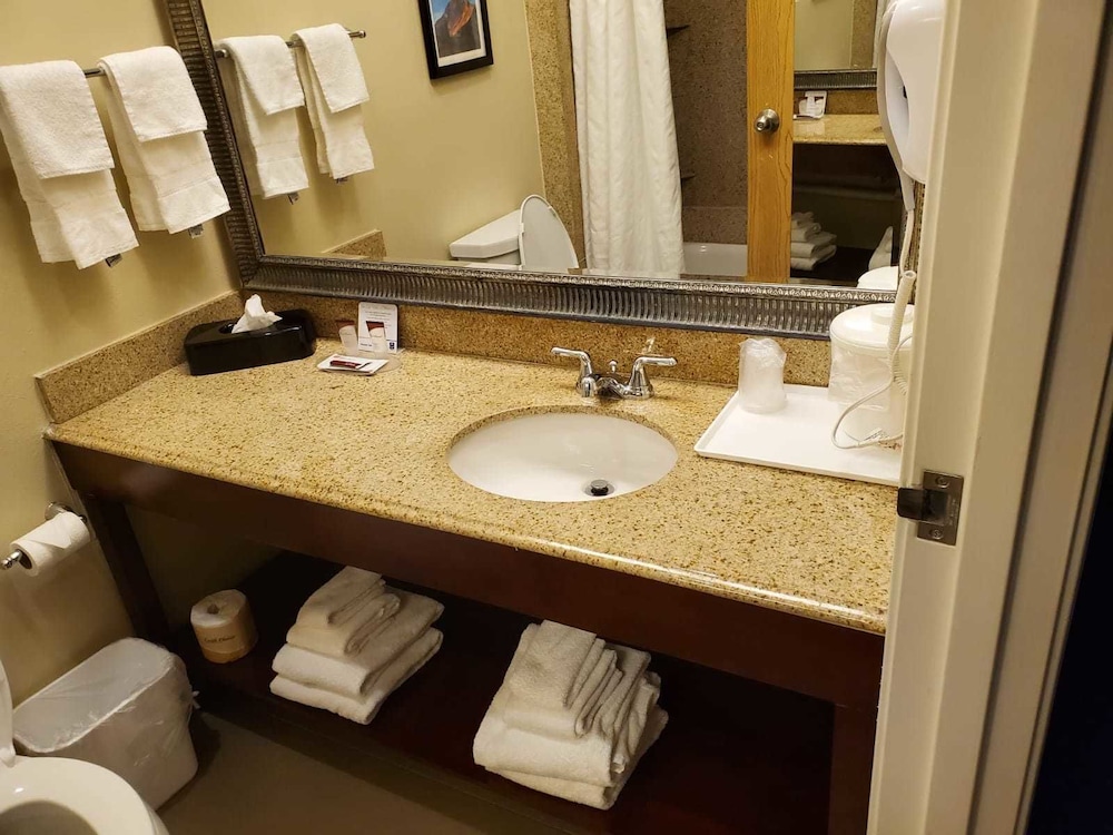 Comfort Inn & Suites Durango, CO 20/53