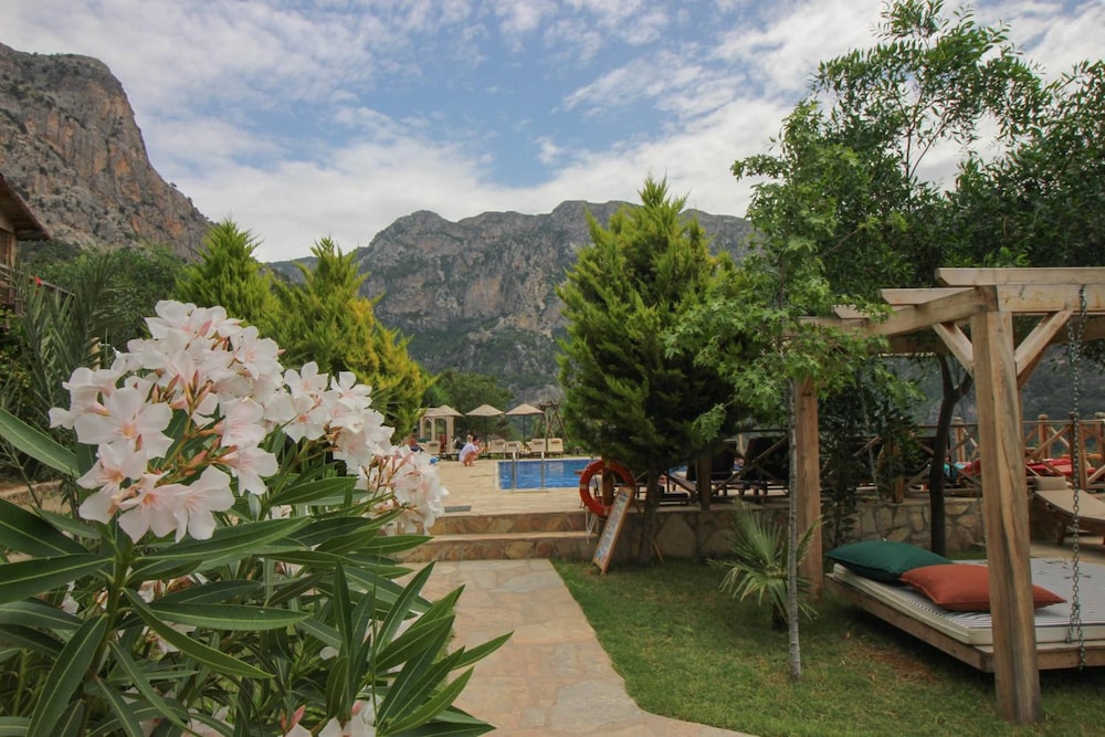 Olive Garden Kabak 35/50