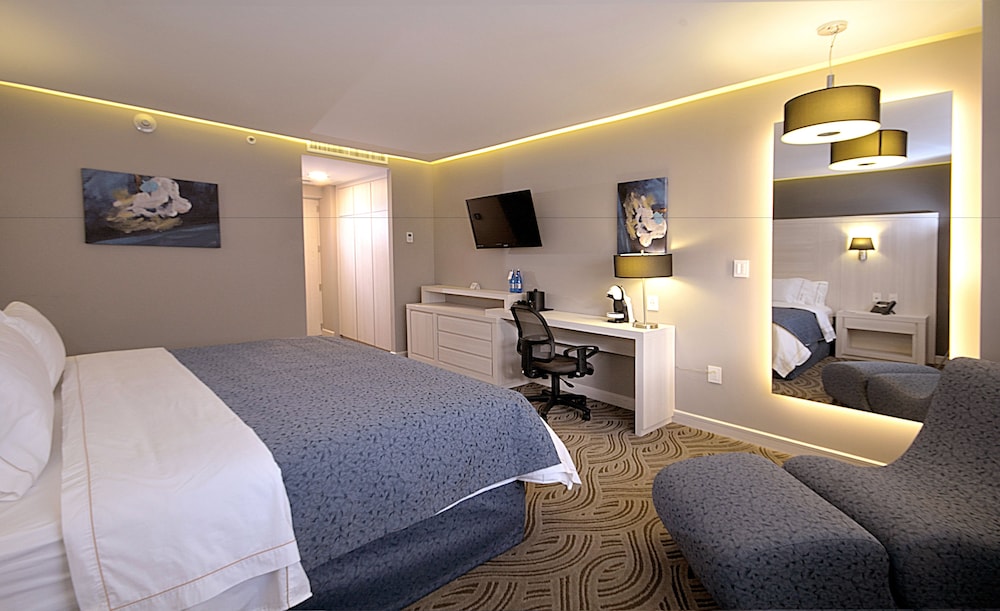 Holiday Inn Express Pachuca 22/57