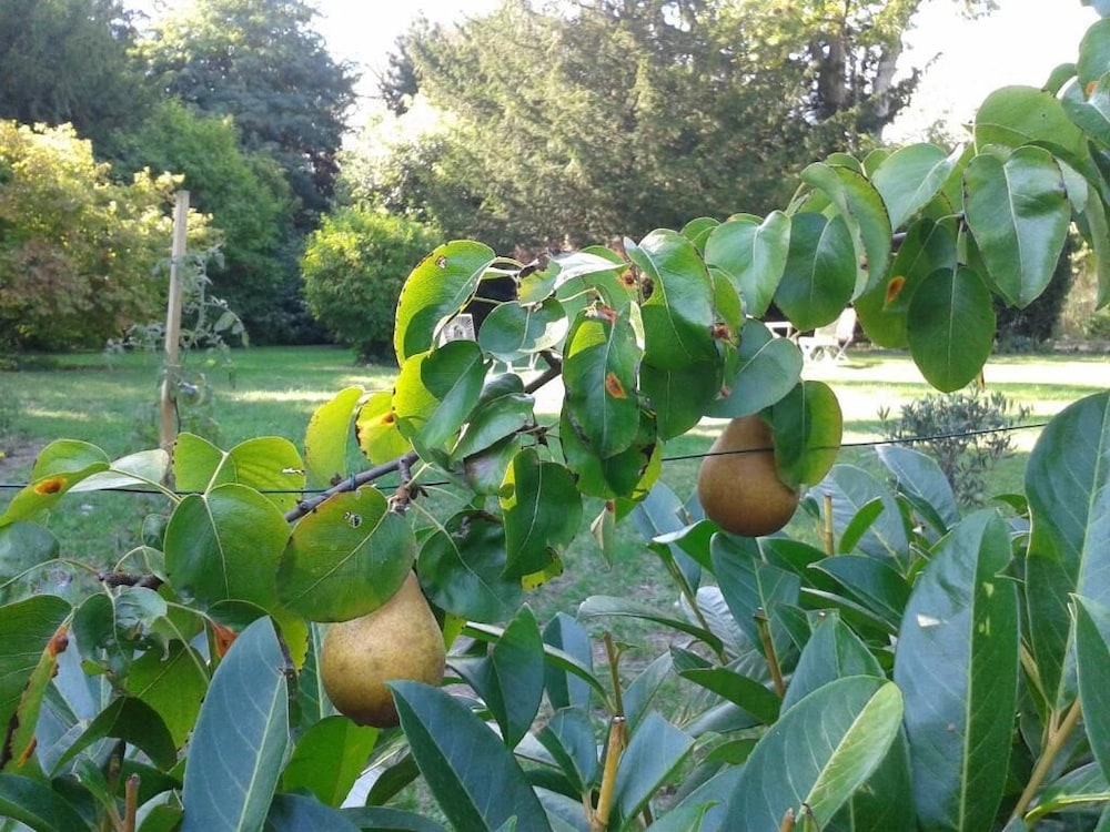 B&B La Héraudière 38/47