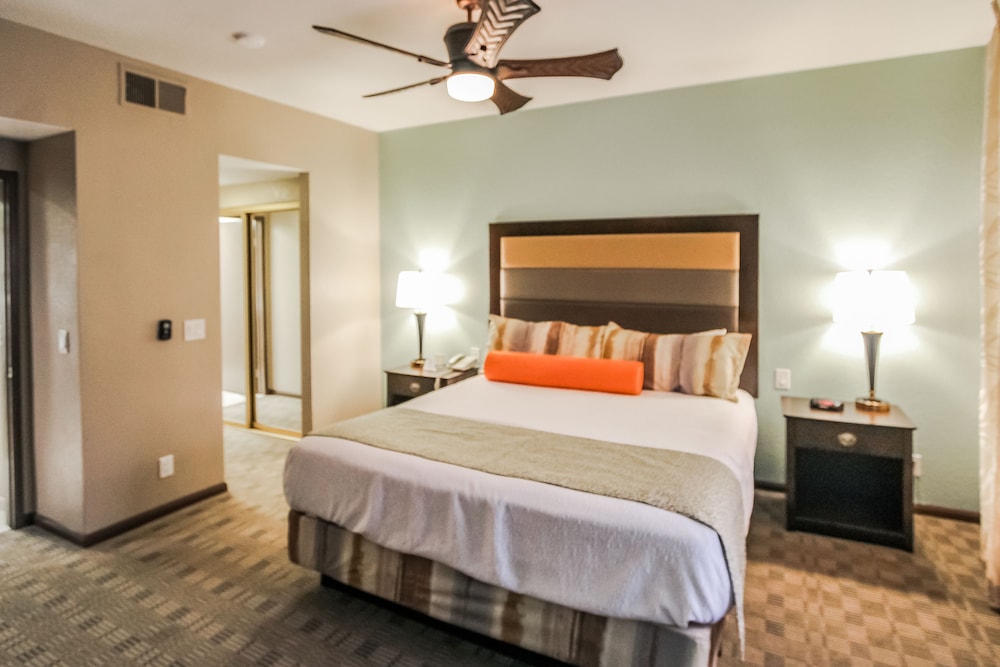 Desert Isle Of Palm Springs 7/50