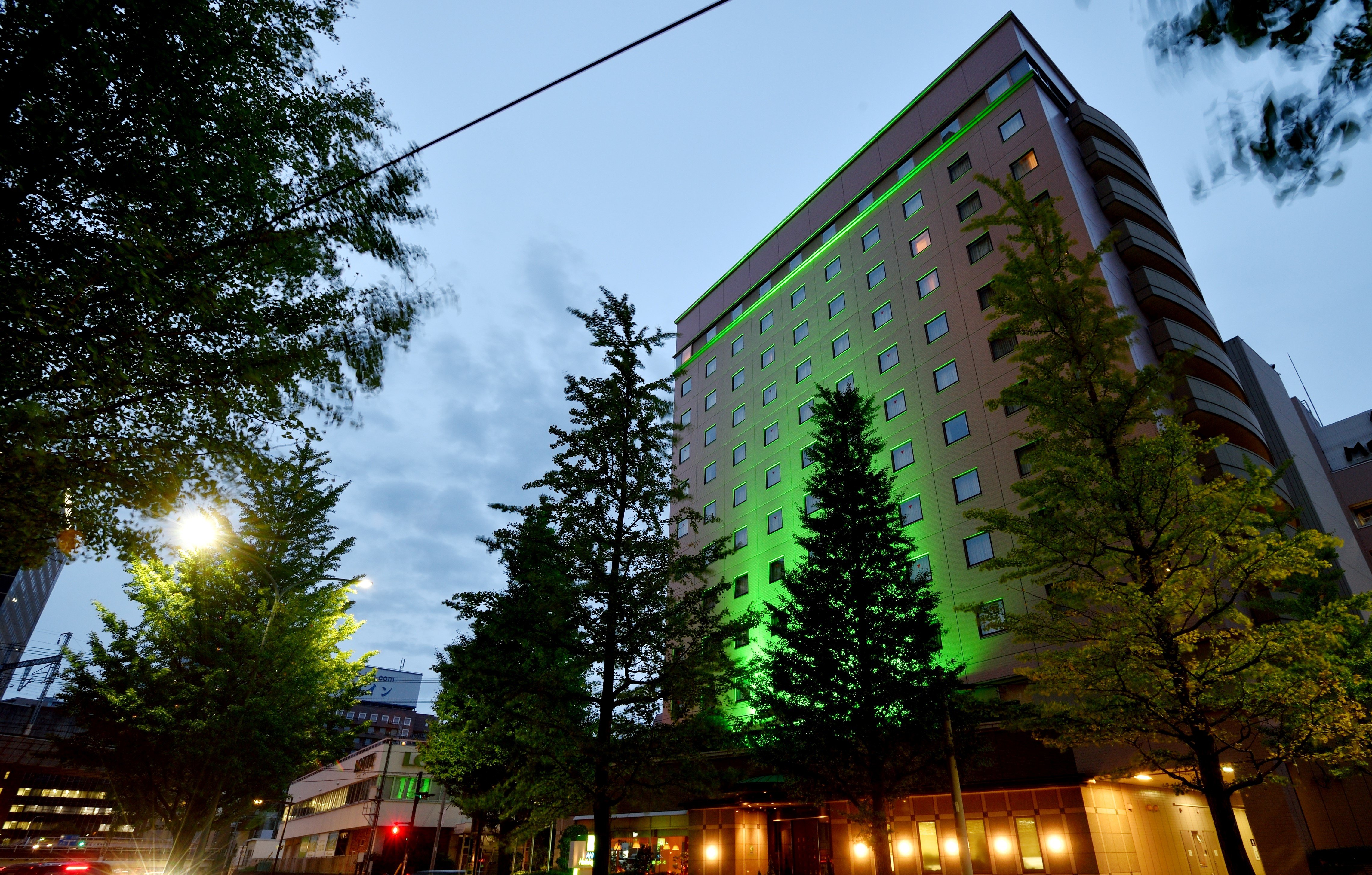 Holiday Inn Ana Sendai 1/75
