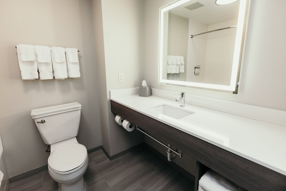 Holiday Inn Express Suites Urbandale Des Moines 48/50