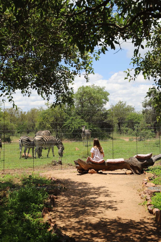 Golden Impalas Bush Resort 22/32