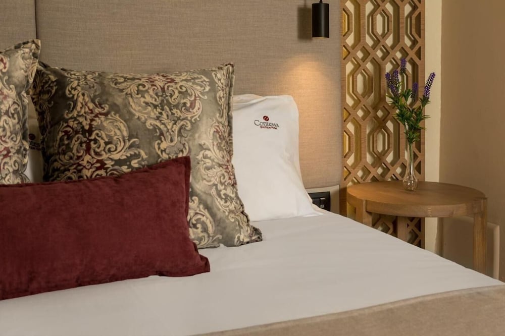 Contessa Boutique Hotel 15/65