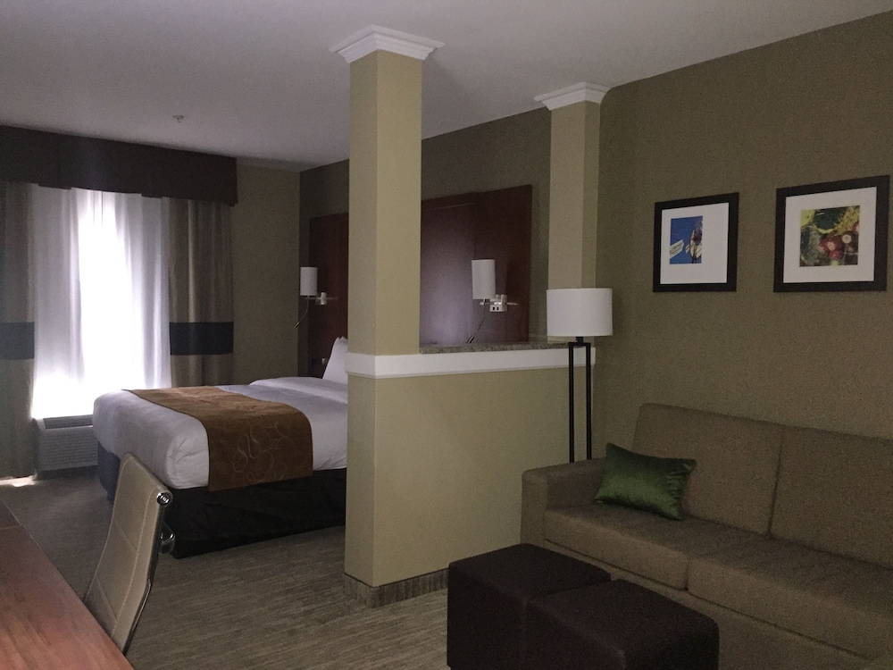 Comfort Suites Lubbock TX 31/43