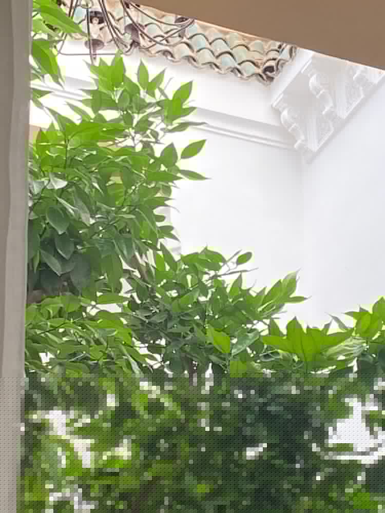 Riad Les Orangers D'Alilia 49/55