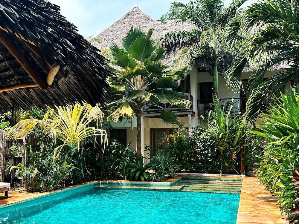 Aluna Beach Lodge 36/50
