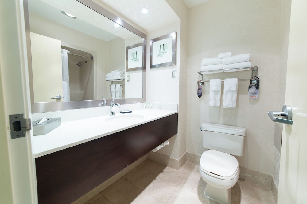 Standard, 2 Queen Beds, Holiday Inn Suites Windsor Ambassador Bridge 5/8