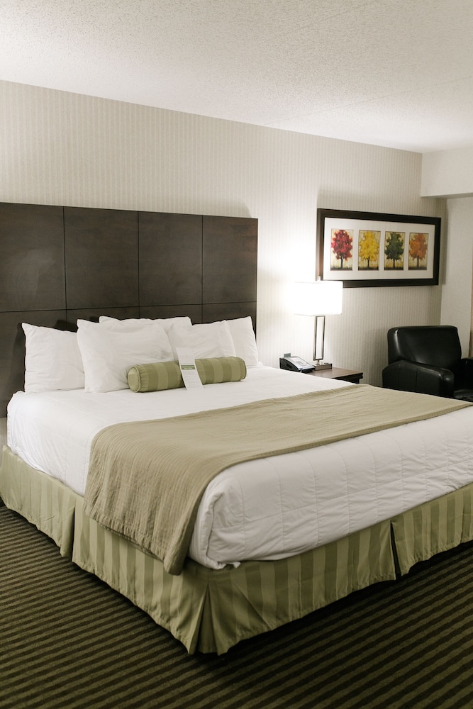 Victoria Inn Hotel Convention Centre Brandon 13/54