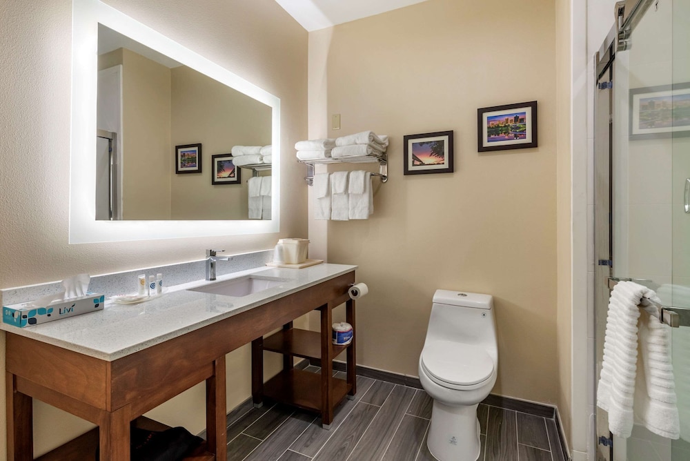 Comfort Suites West Memphis 15/35