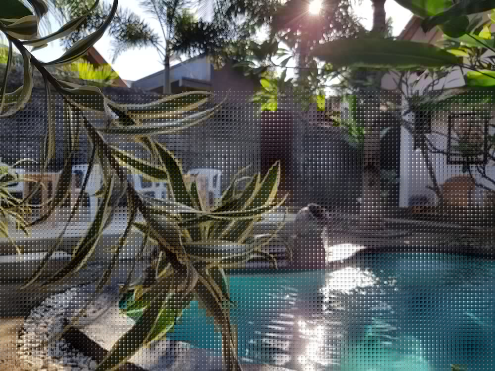 Gili Bagaz Cottages 9/46