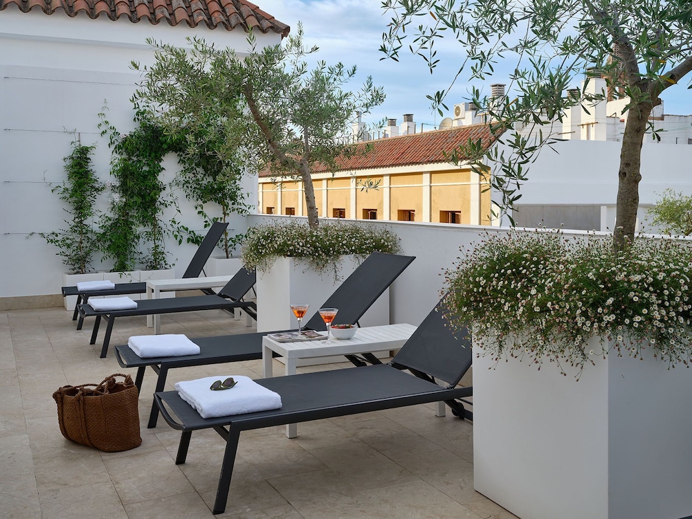 Rey Alfonso X 24/50