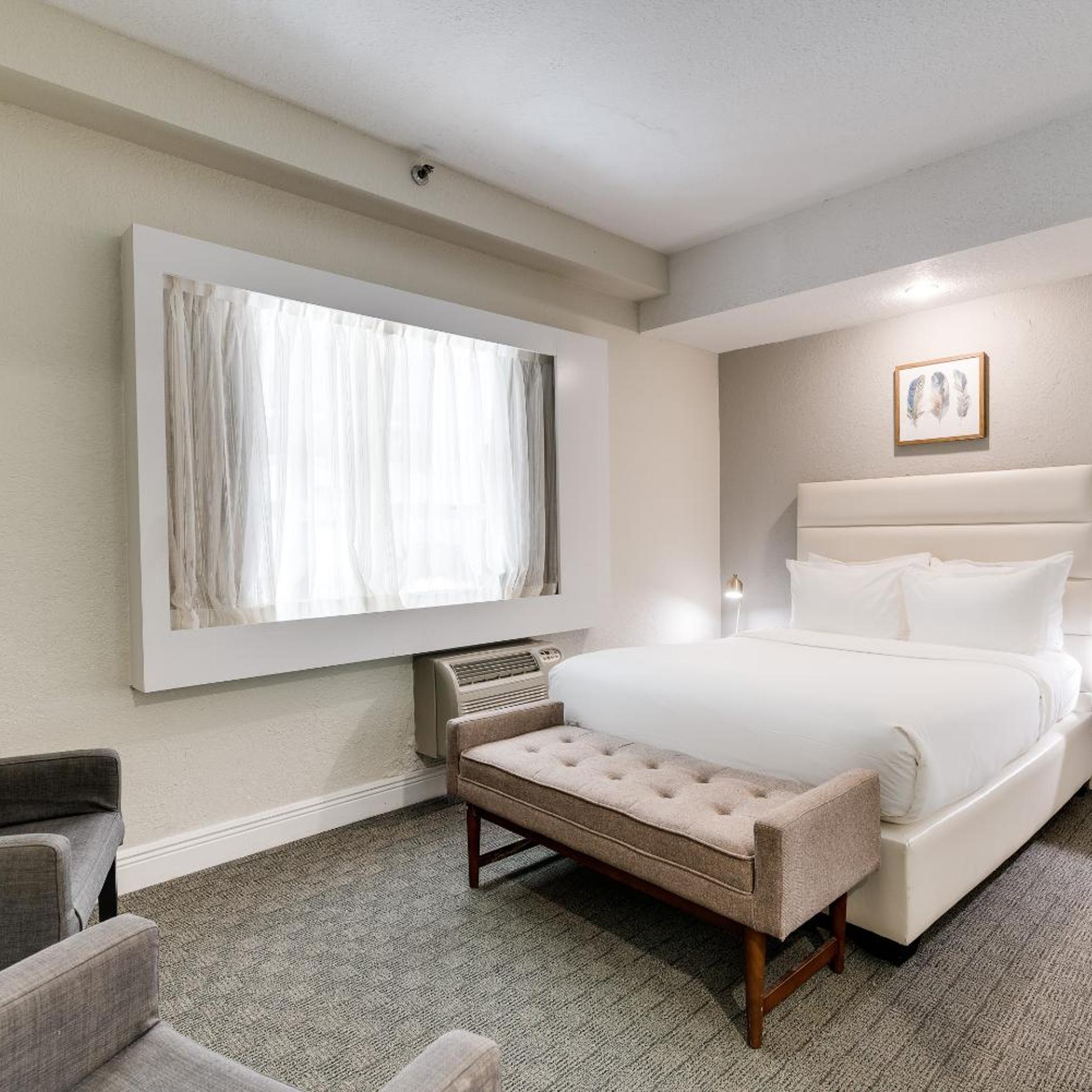 1 Bedroom, Suite, Accessible