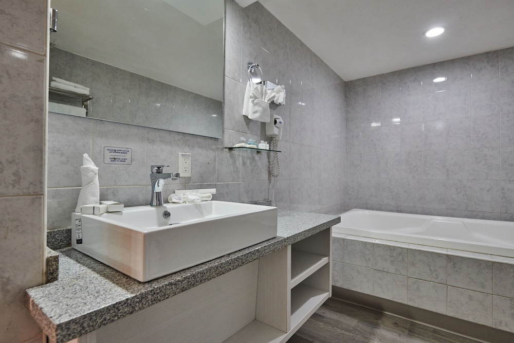 Best Western Plus Gran Hotel Centro Historico 17/70