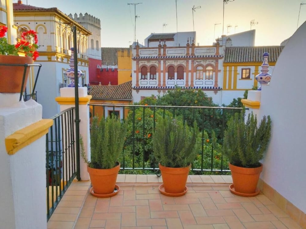 Hotel Boutique Elvira Plaza 6/72