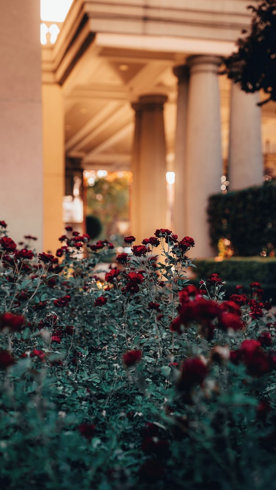 Palazzo Hotel At Montecasino 67/69