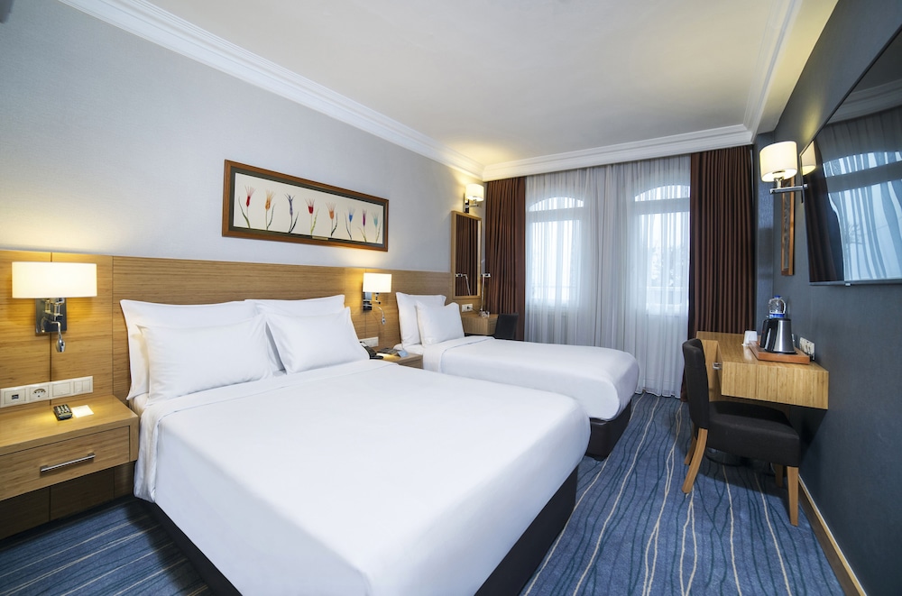 Radisson Hotel Istanbul Sultanahmet 18/50