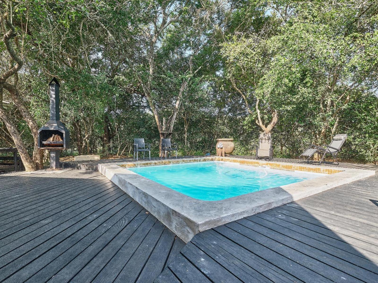 Nguni Lodge 41/50