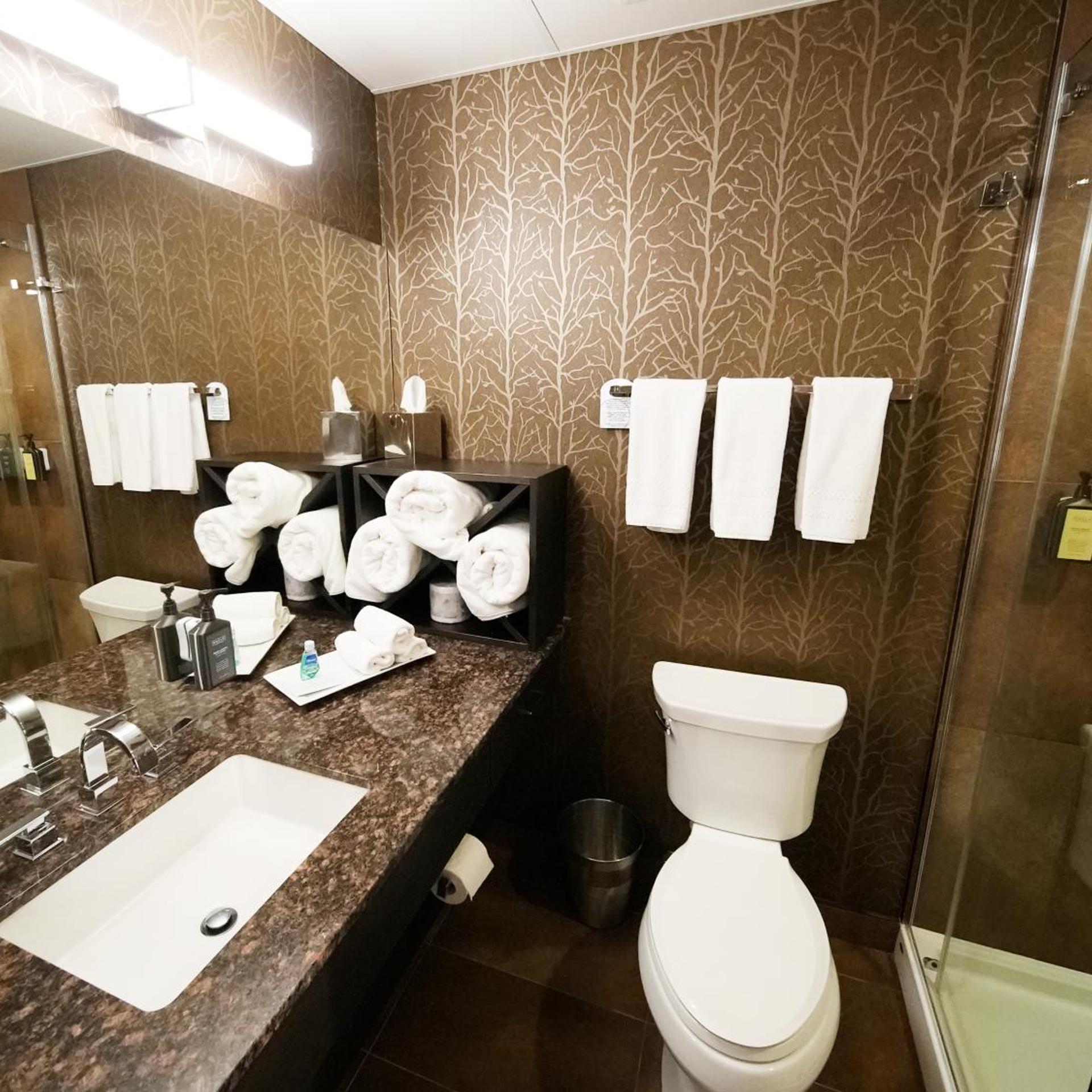 Summit, King Bed، Hotel Blackfoot 9/10