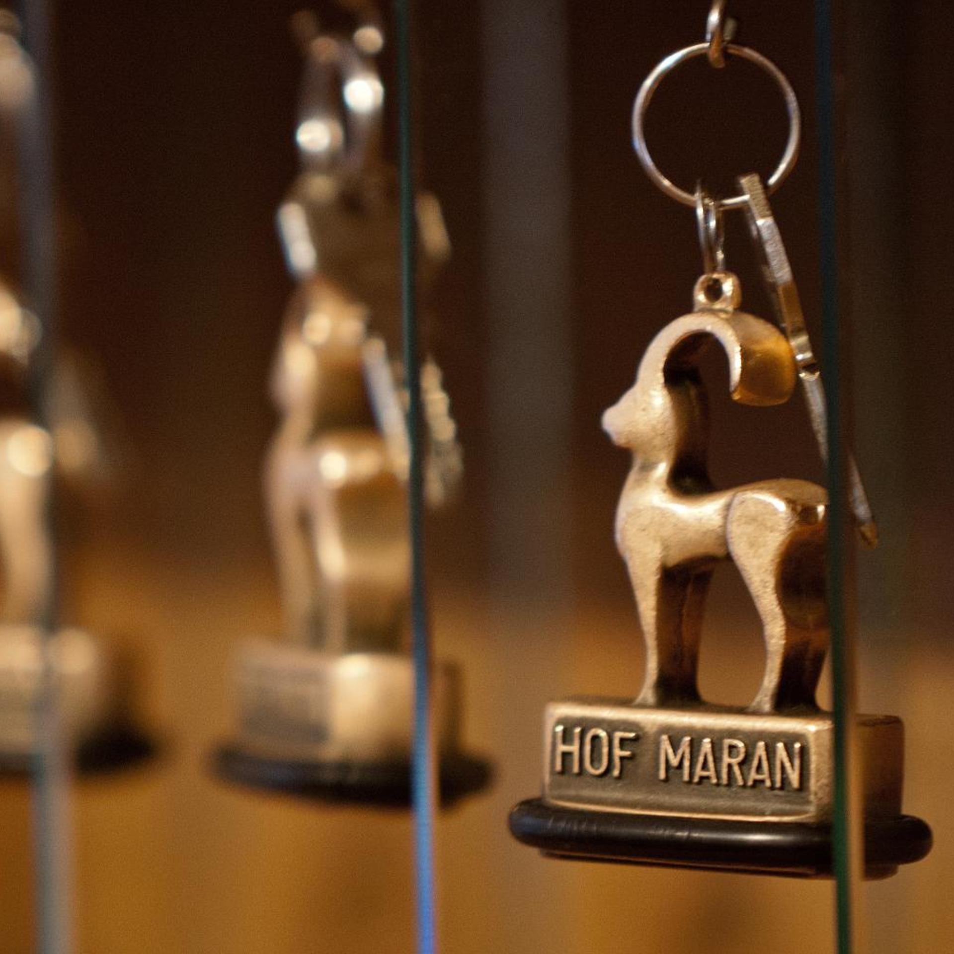 Golf & Sporthotel Hof Maran 17/50