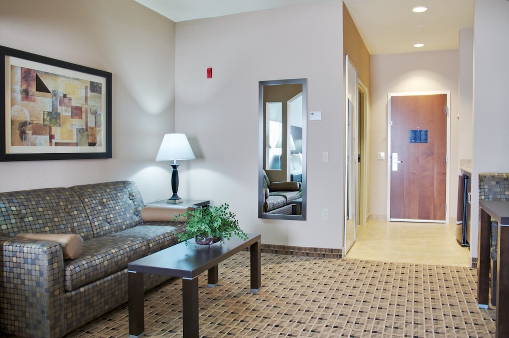 Holiday Inn Express Hotel And Suites Houston Energy Corridor W Oaks 18/29