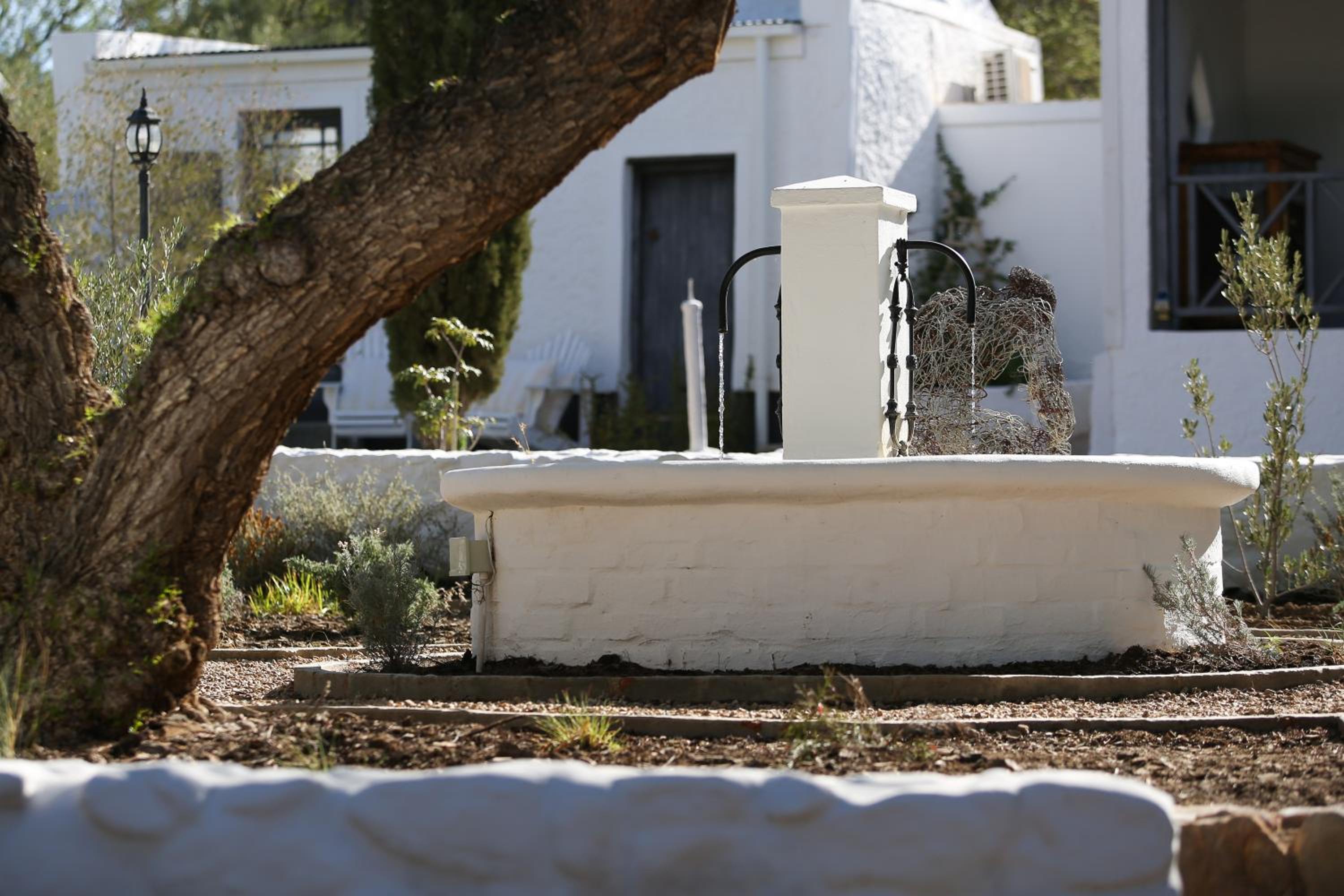 Dennehof Karoo Guesthouse 25/30