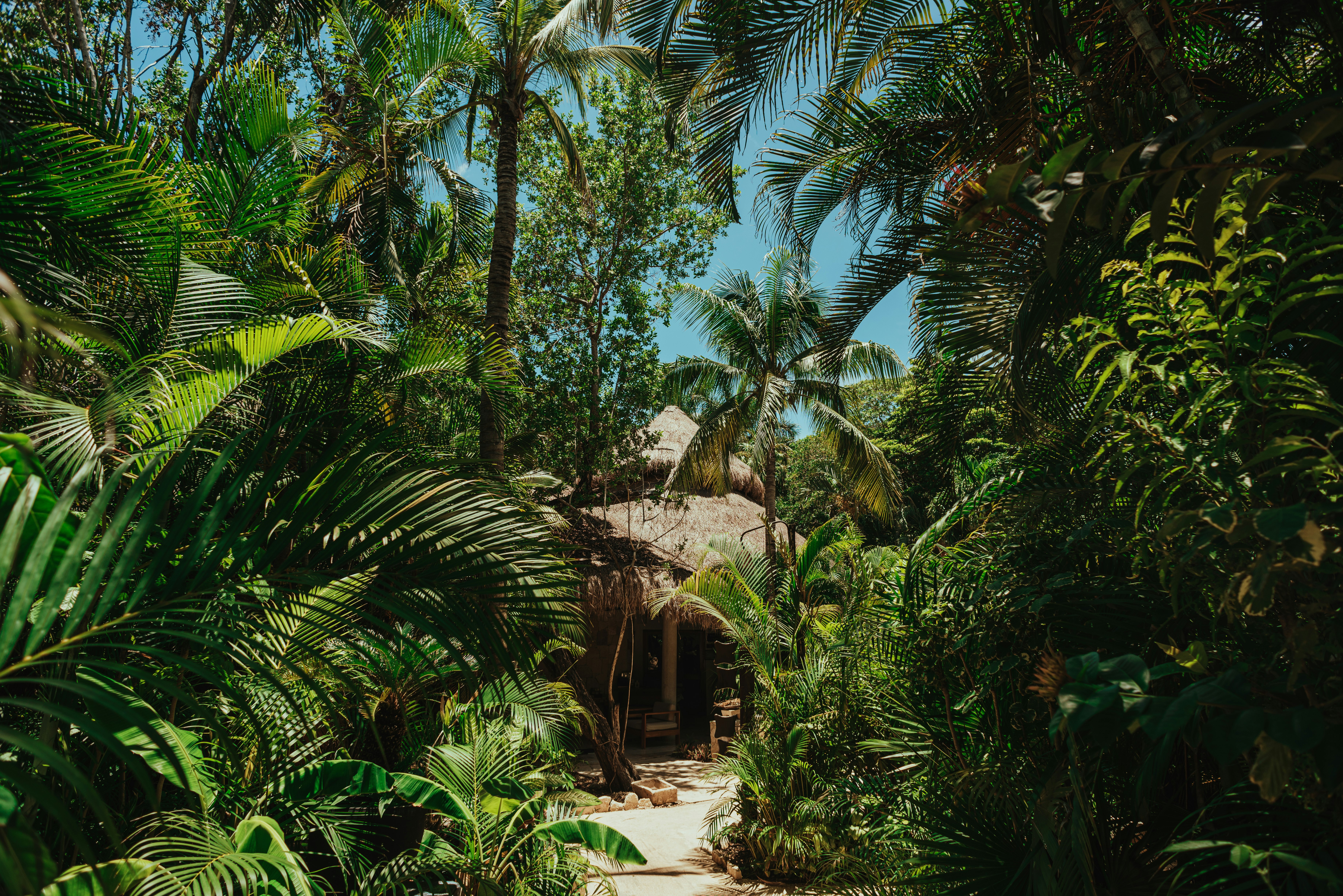 Viceroy Riviera Maya, a Luxury Villa Resort - Adults Only 78/80