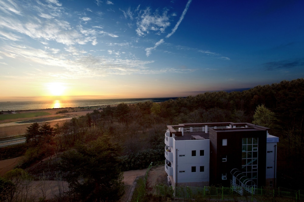 Zio Resort 40/74