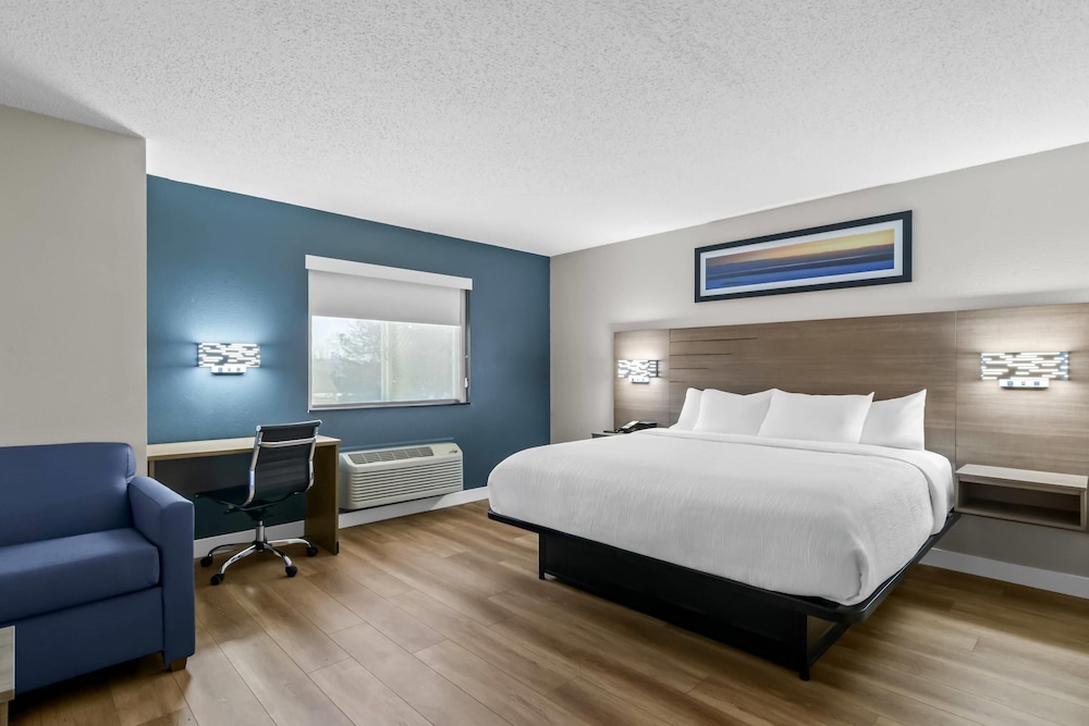 Suite, King Bed