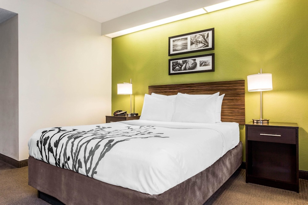 ROOM, QUEEN BED, ACCESSIBLE