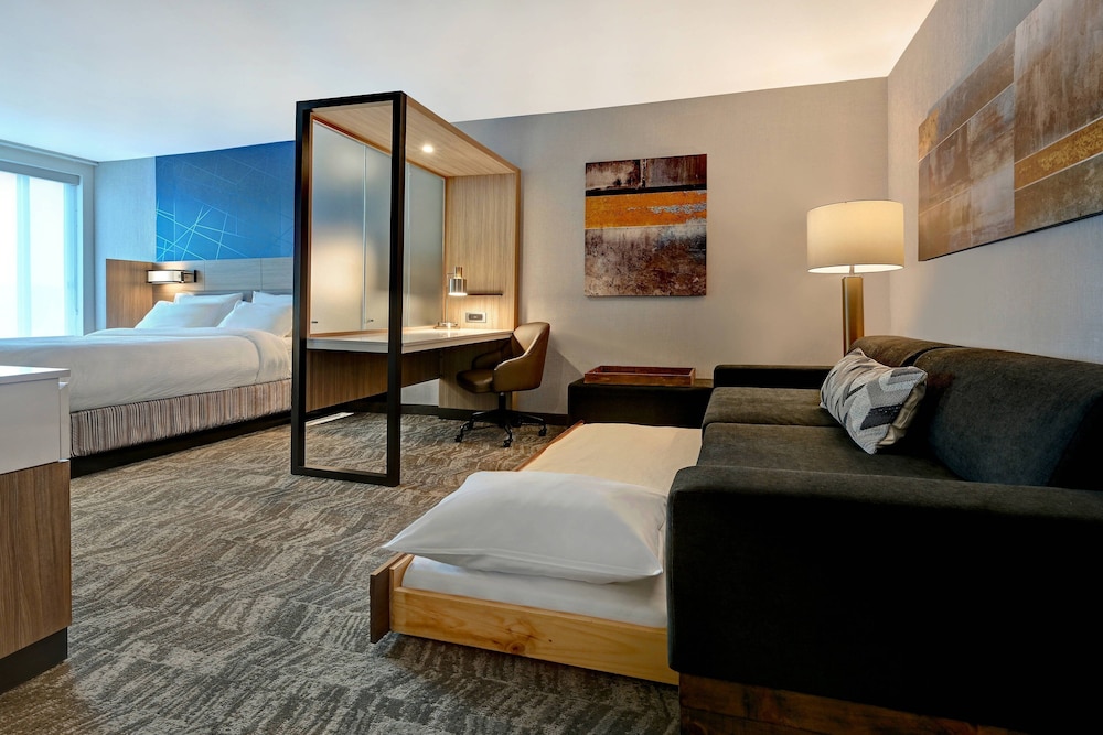 Springhill Suites by Marriott Albuquerque University Area 34/52