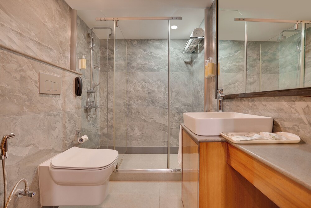 Lemon Tree Hotel, Centre Point, Jamshedpur 35/46