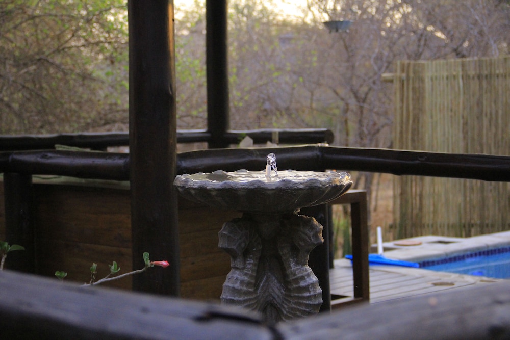 Raptors Lodge N16 23/50