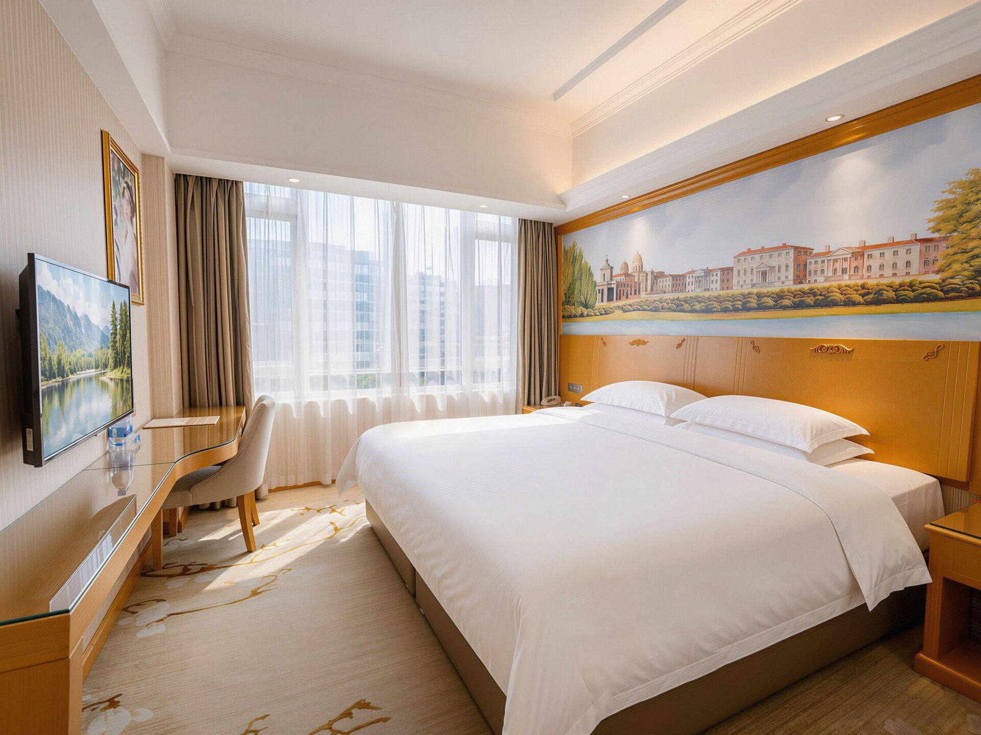 Vienna Hotel (Shenzhen Henggang Metro Station) 16/40