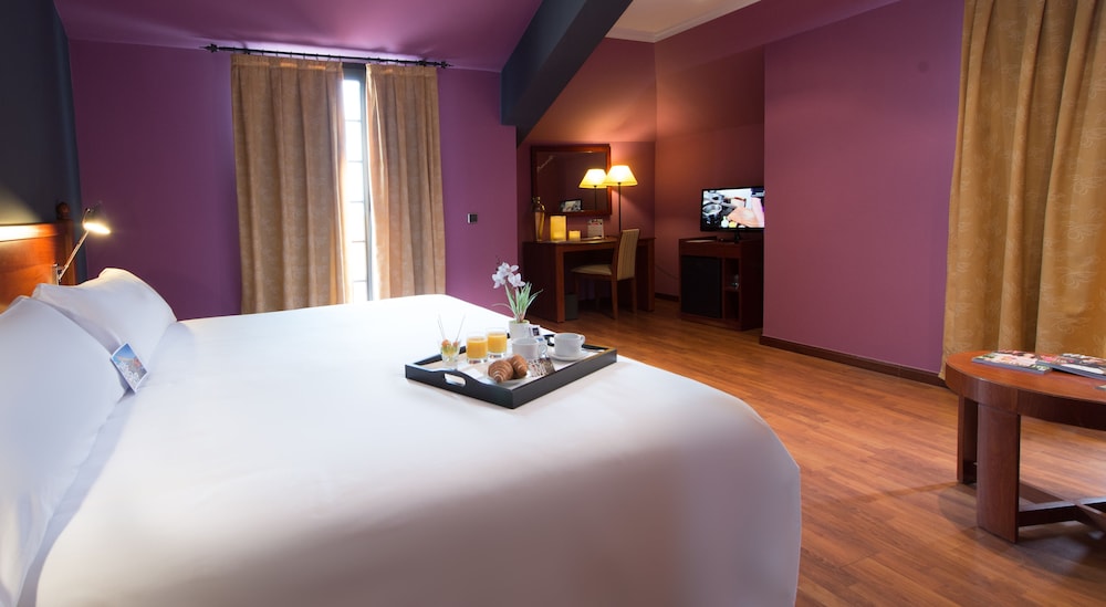 Hotel Segovia Sierra de Guadarrama 12/50
