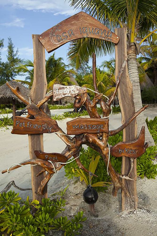 Casa Iguana Holbox 30/37