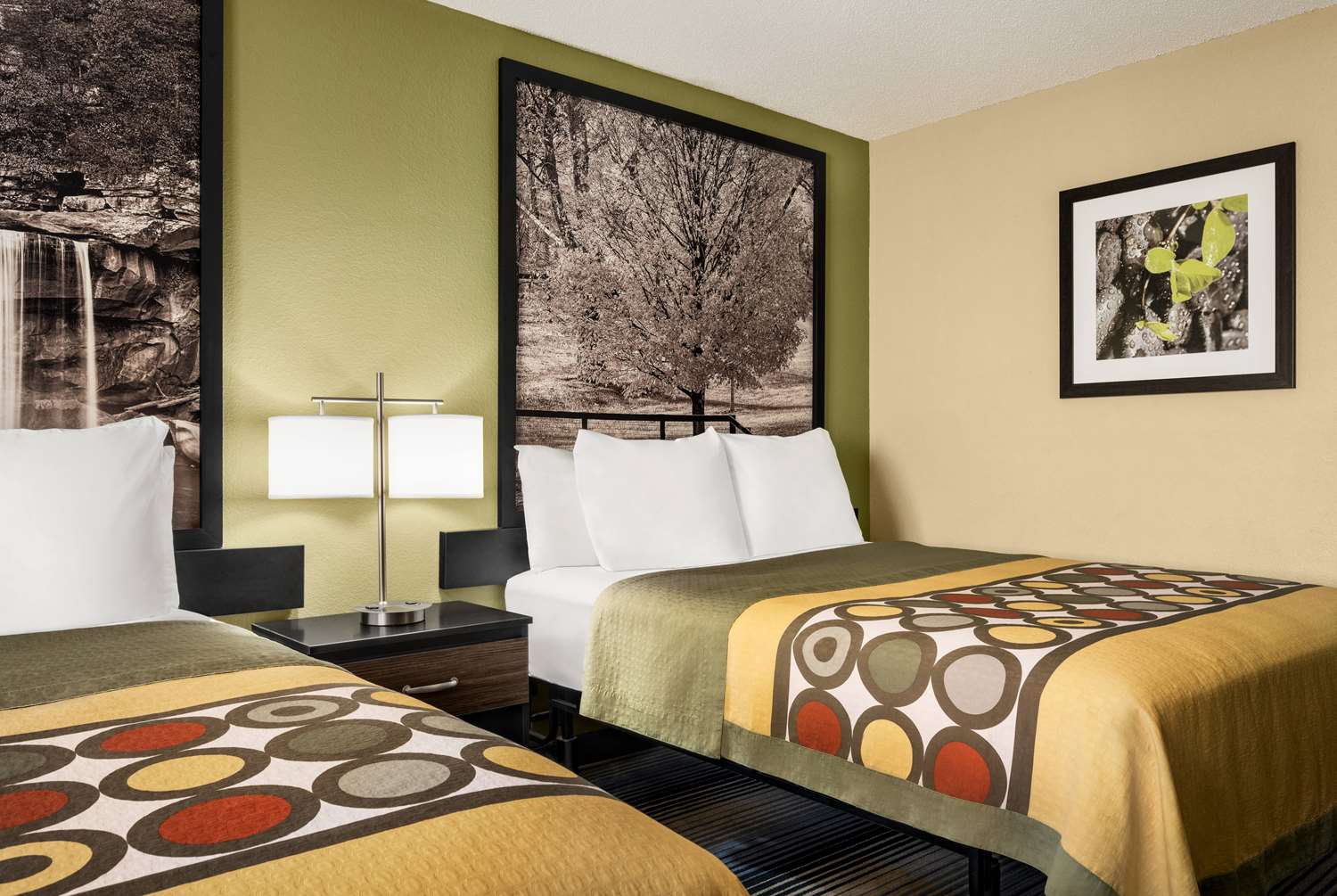 Super 8 by Wyndham Maysville KY 8/35