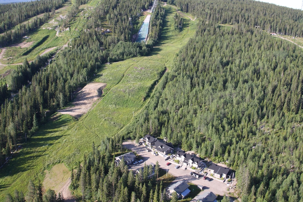 Aateli Marsalkka 46/50