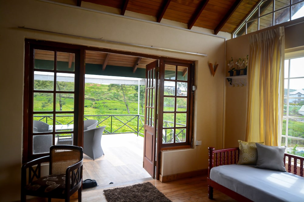 The Tea Garden 35/55