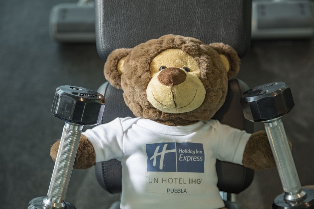 Holiday Inn Express Puebla 14/61