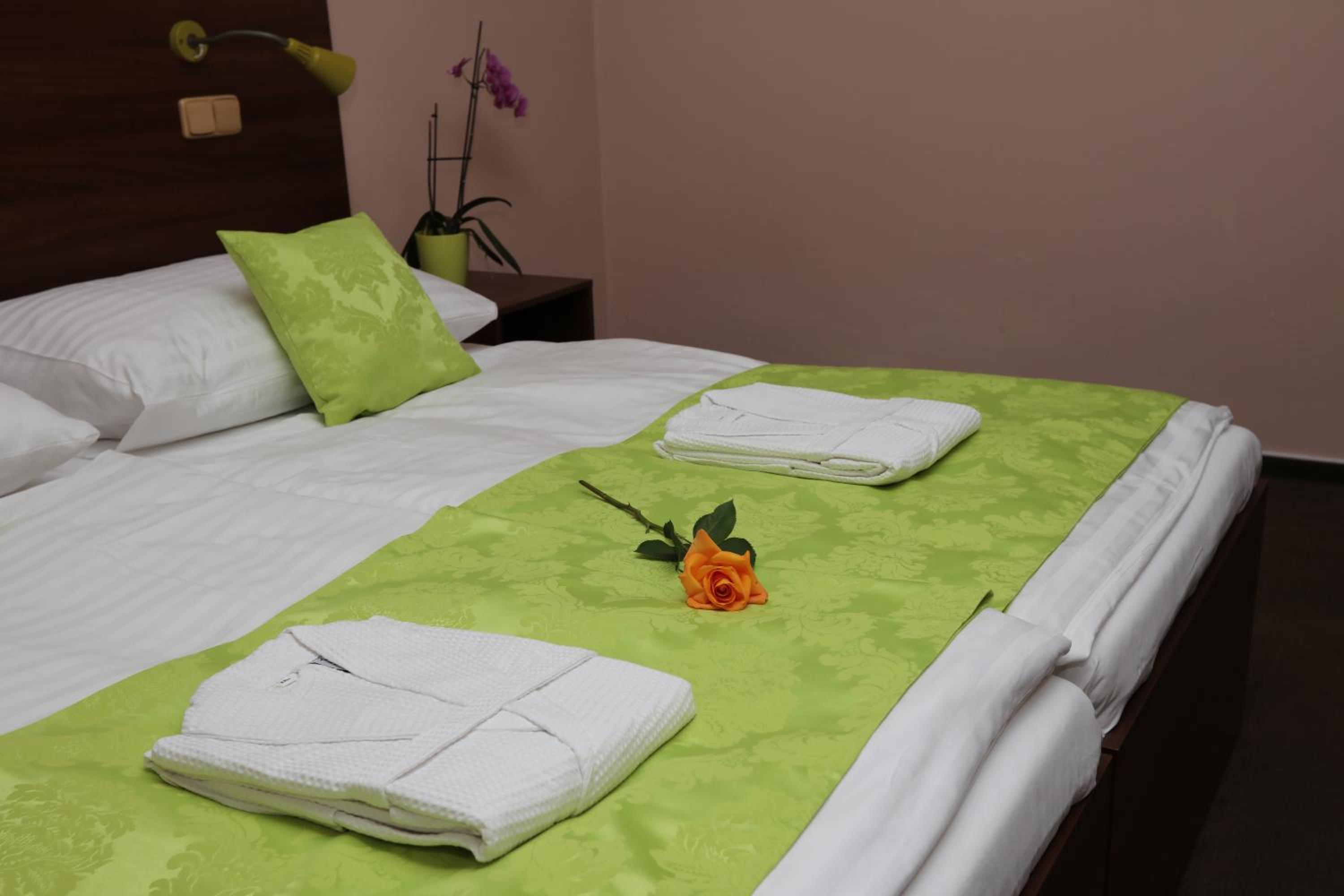 Zamecek Hotel 22/50