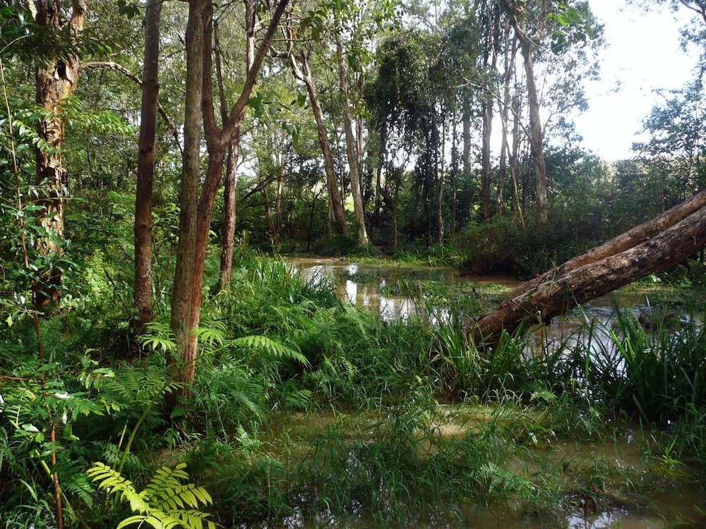 GLASS HOUSE MOUNTAINS ECOLODGE 31/34